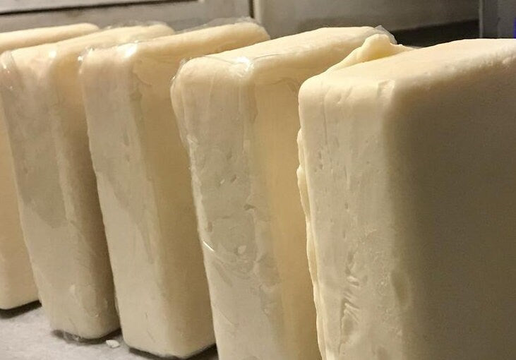 Bison Tallow and Camel Milk Soap