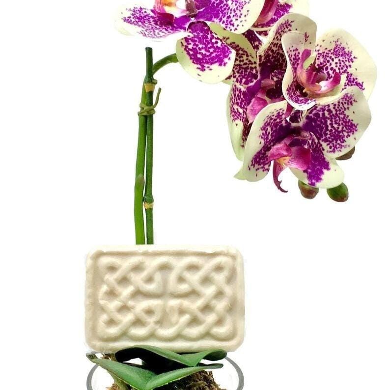 Organic Goat Milk, Tallow and Yogurt Soap Pure Skin Food In A Bar