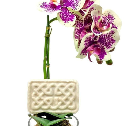 Organic Goat Milk, Tallow and Yogurt Soap Pure Skin Food In A Bar